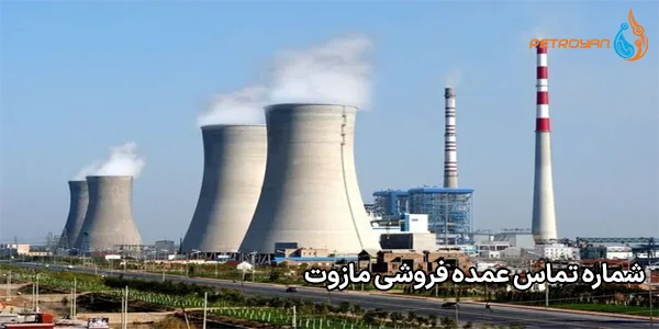 شماره تماس عمده فروشی مازوت شماره تماس عمده فروشی مازوت