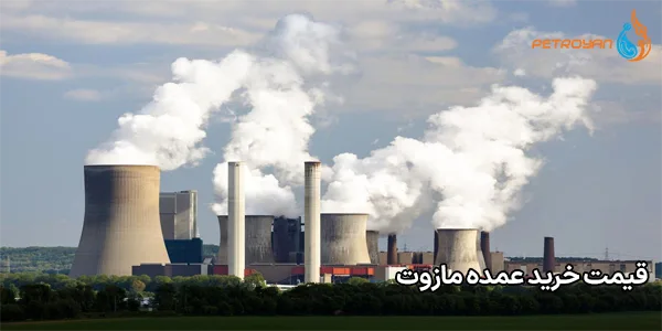 قیمت خرید عمده مازوت قیمت خرید عمده مازوت
