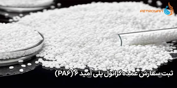 ثبت سفارش عمده گرانول پلی آمید 6 (PA6)